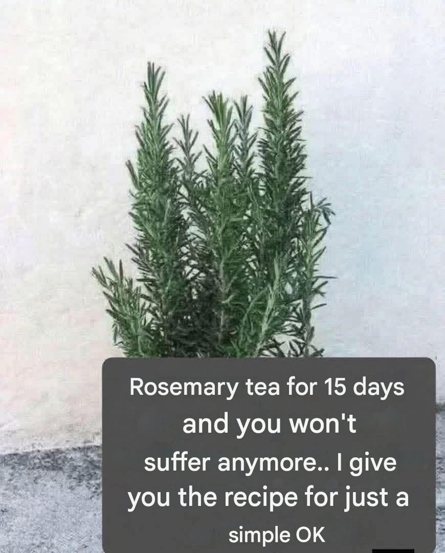 Rosemary Tea for Wellbeing: A Natural Herbal Remedy