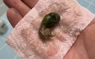 A Mysterious Discovery on Our Bathroom Floor Left Us Searching for Answers
